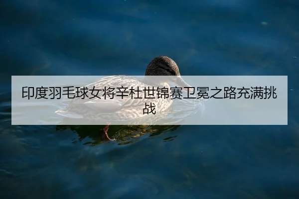 印度羽毛球女将辛杜世锦赛卫冕之路充满挑战